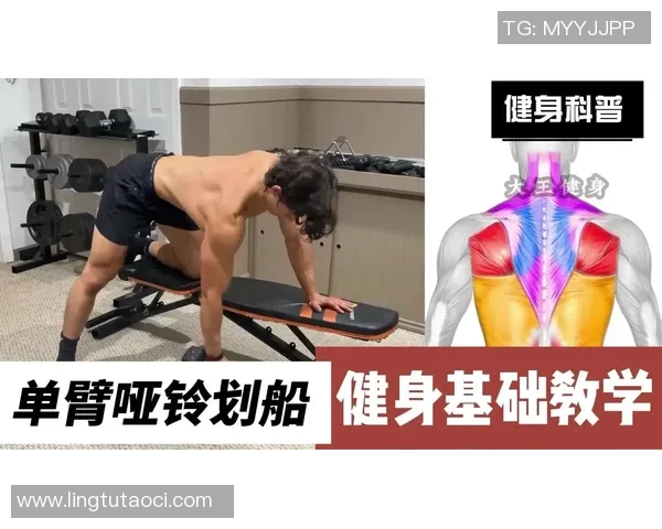 提升背部力量与线条的哑铃划船训练全攻略